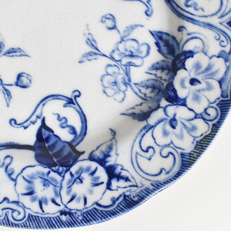 Antique plate, Creil-Montereau, Flora E