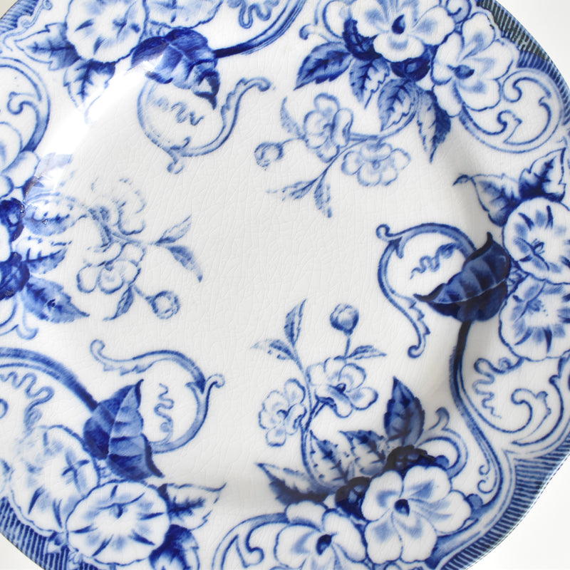 Antique plate, Creil-Montereau, Flora E