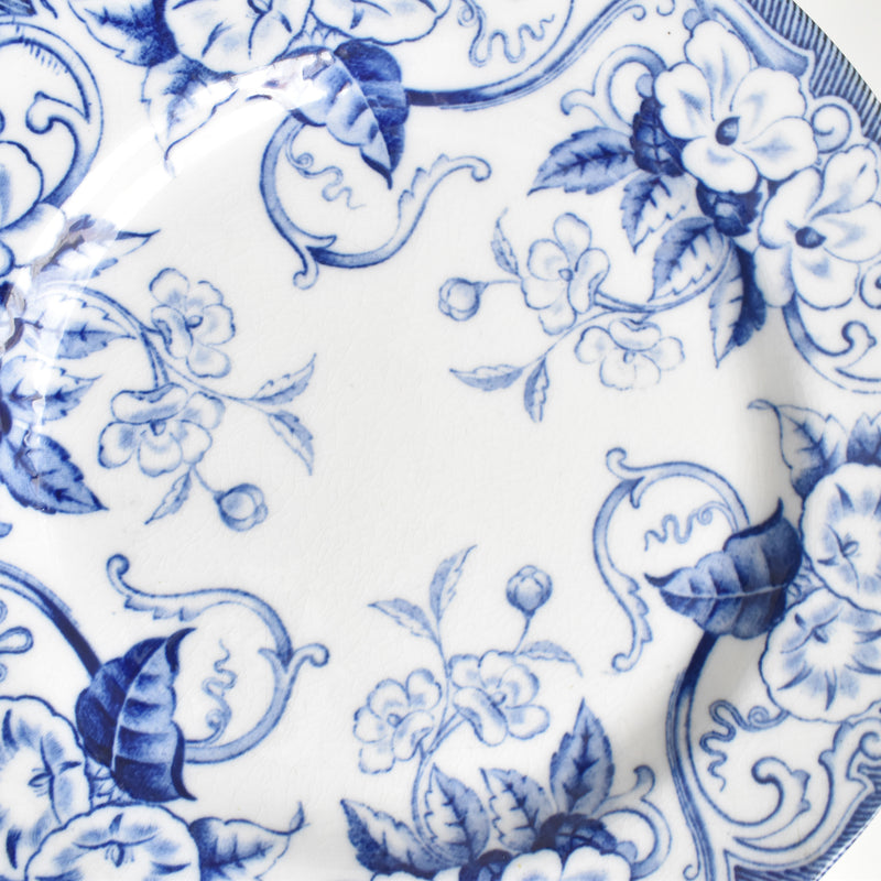 Antique Plate, Creil-Montereau, Flora F
