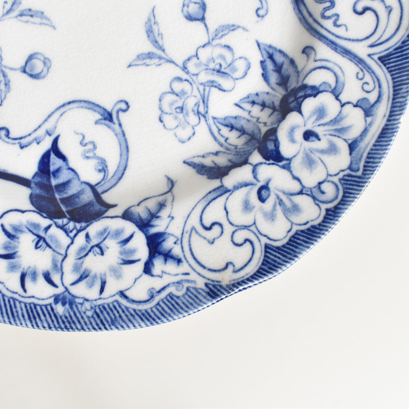 Antique Plate, Creil-Montereau, Flora F
