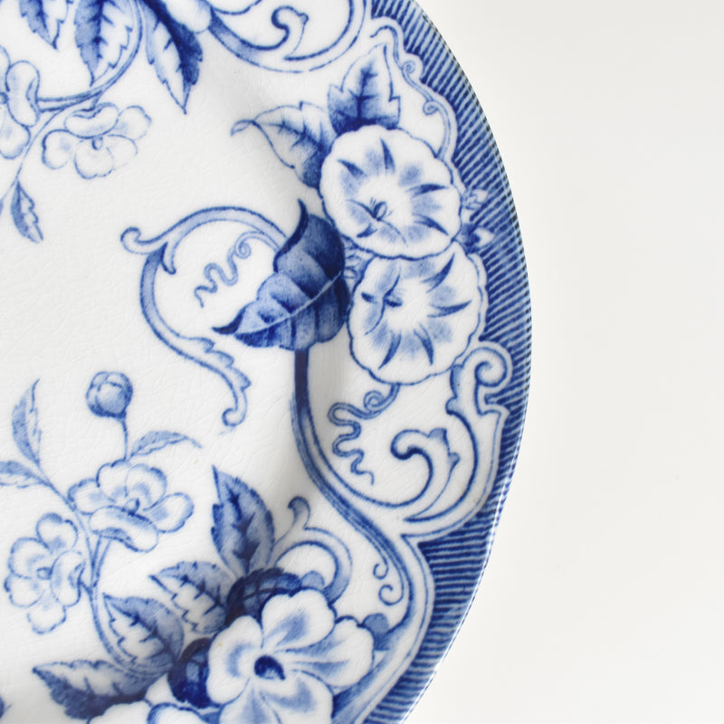 Antique Plate, Creil-Montereau, Flora F