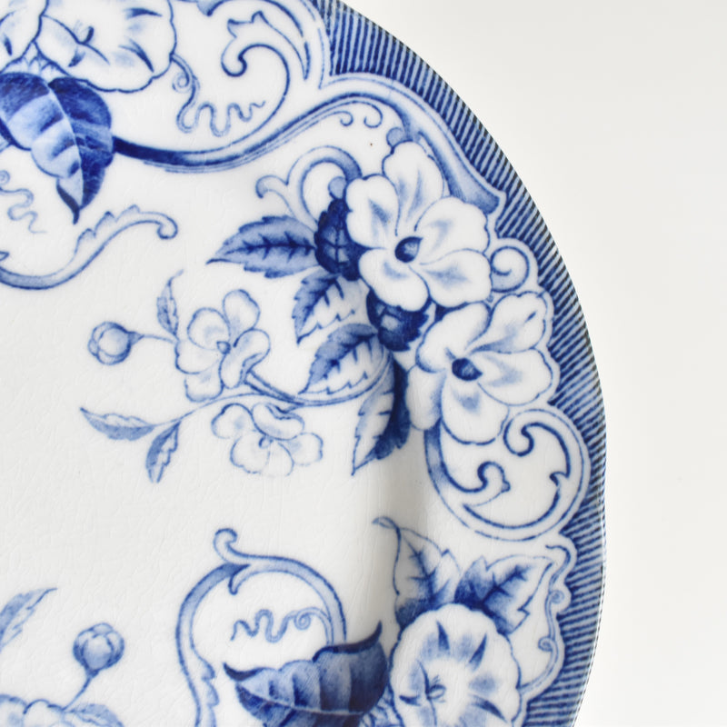 Antique Plate, Creil-Montereau, Flora F
