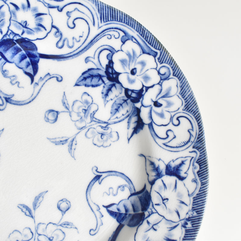 Antique Plate, Creil-Montereau, Flora F