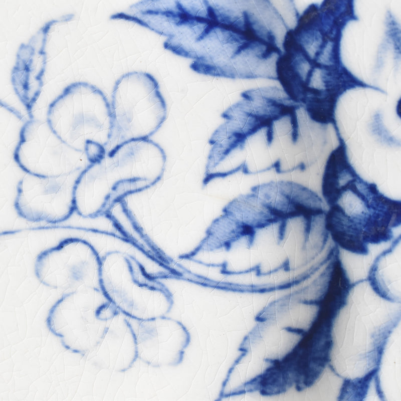 Antique Plate, Creil-Montereau, Flora F