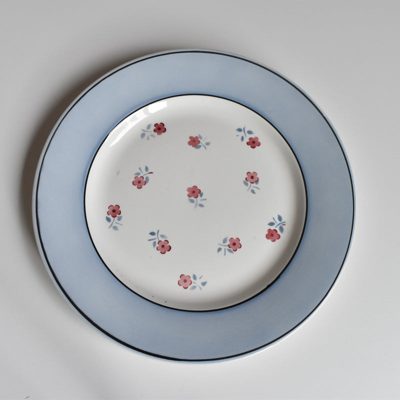 Vintage plate Digoin & Sarreguemines Aix A