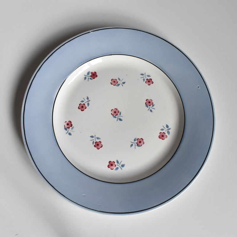 Vintage Plate Digoin & Sarreguemines Aix C