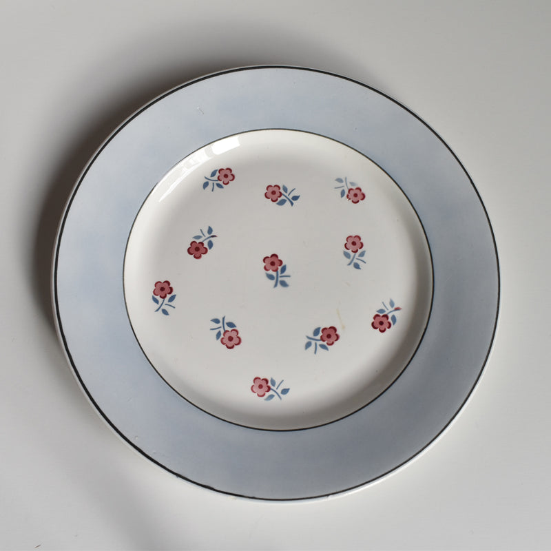 Vintage Plate Digoin & Sarreguemines Aix D