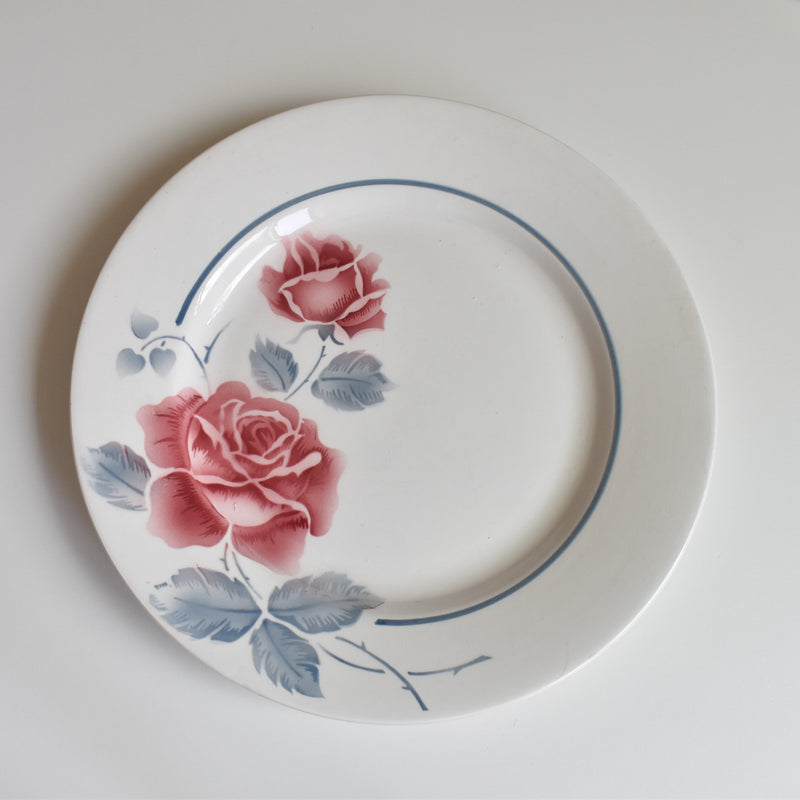 Vintage Plate Digoin & Sarreguemines Janik A