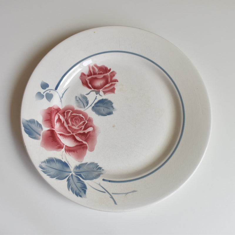 Vintage Plate, Digoin & Sarreguemines Janik C