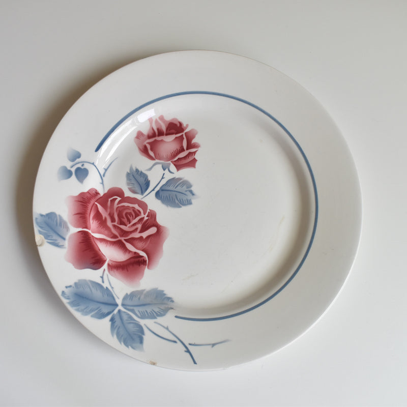 Vintage Plate Digoin & Sarreguemines Janik D