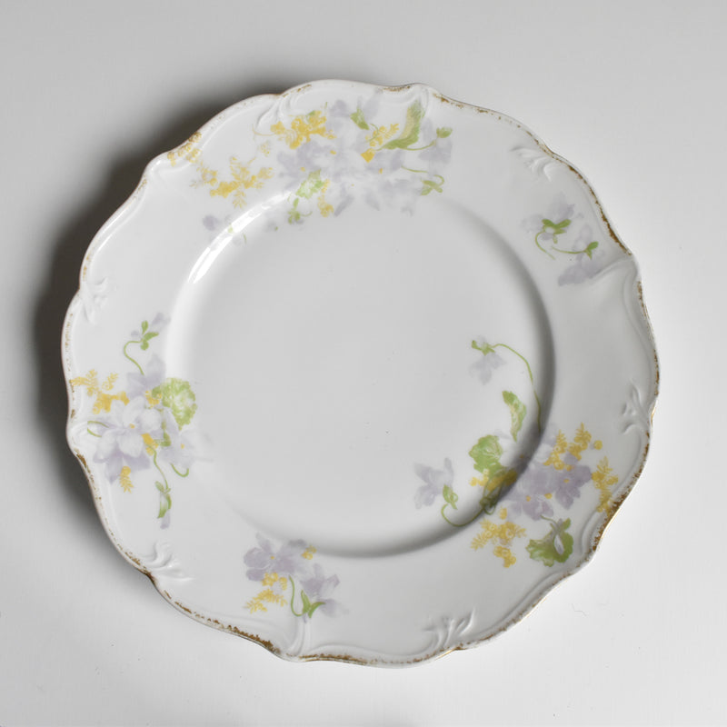 Antique Dessert Plate, Limoges, Charles Ahrenfeldt, Emile Bourgeois B