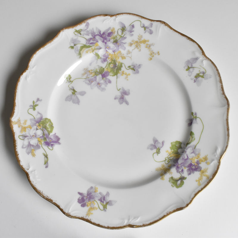 Antique Plate Limoges Charles Ahrenfeldt Emile Bourgeois A