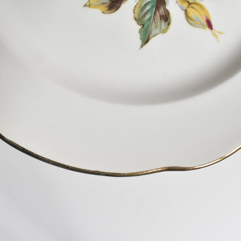 Vintage Plate Gien Chambord A