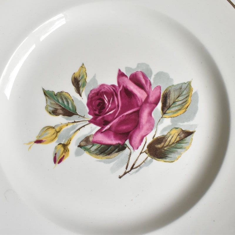 Vintage Plate Gien Chambord A