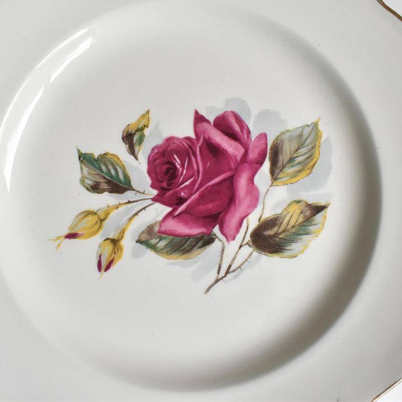 Vintage Plate Gien Chambord B