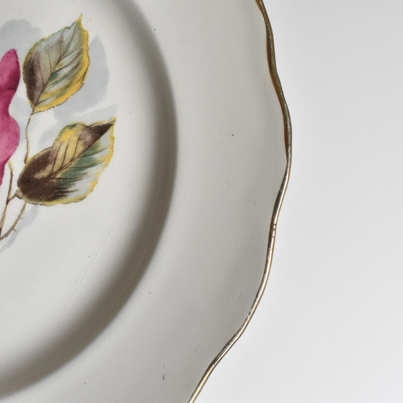 Vintage Plate Gien Chambord B