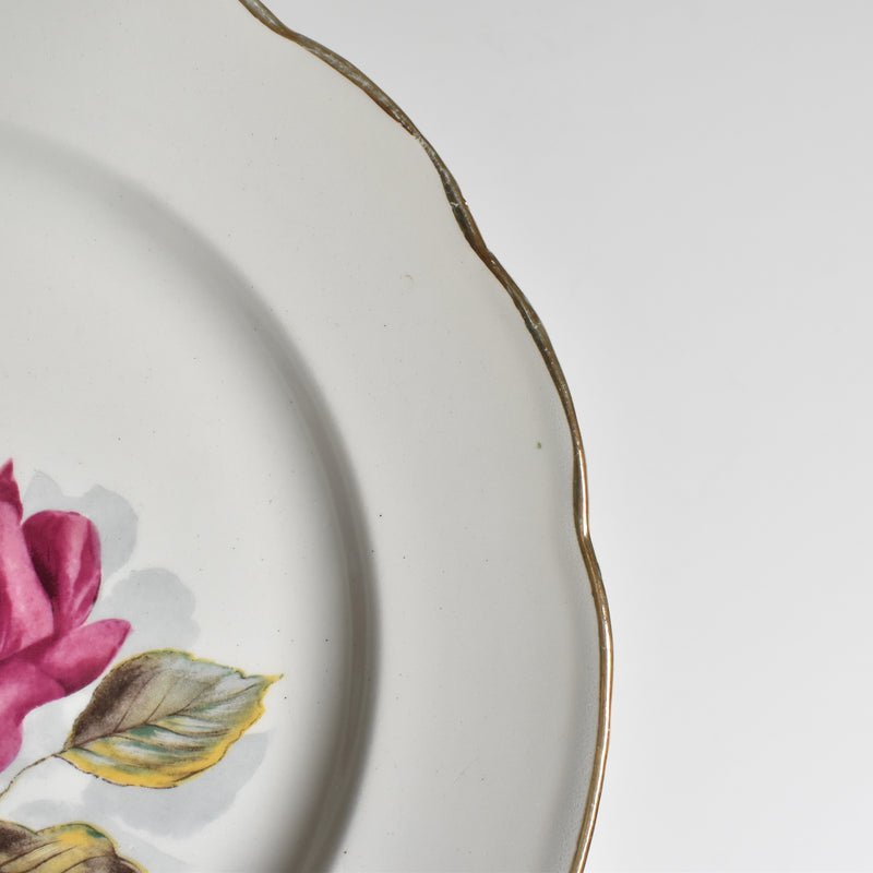 Vintage Plate Gien Chambord B