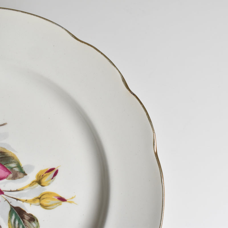 Vintage Plate Gien Chambord B