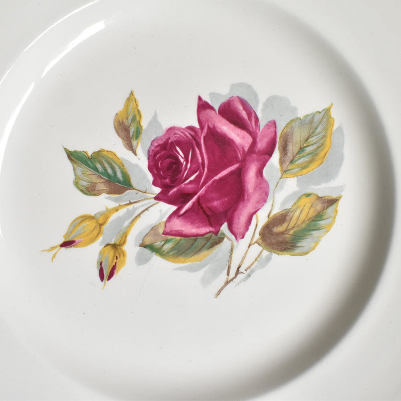 Vintage Plate Gien Chambord D