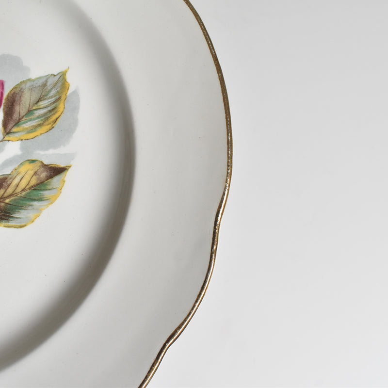 Vintage Plate Gien Chambord E