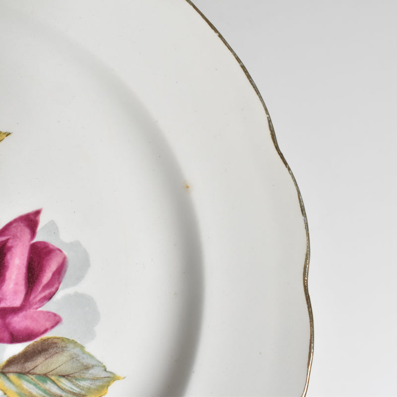 Vintage Plate Gien Chambord E