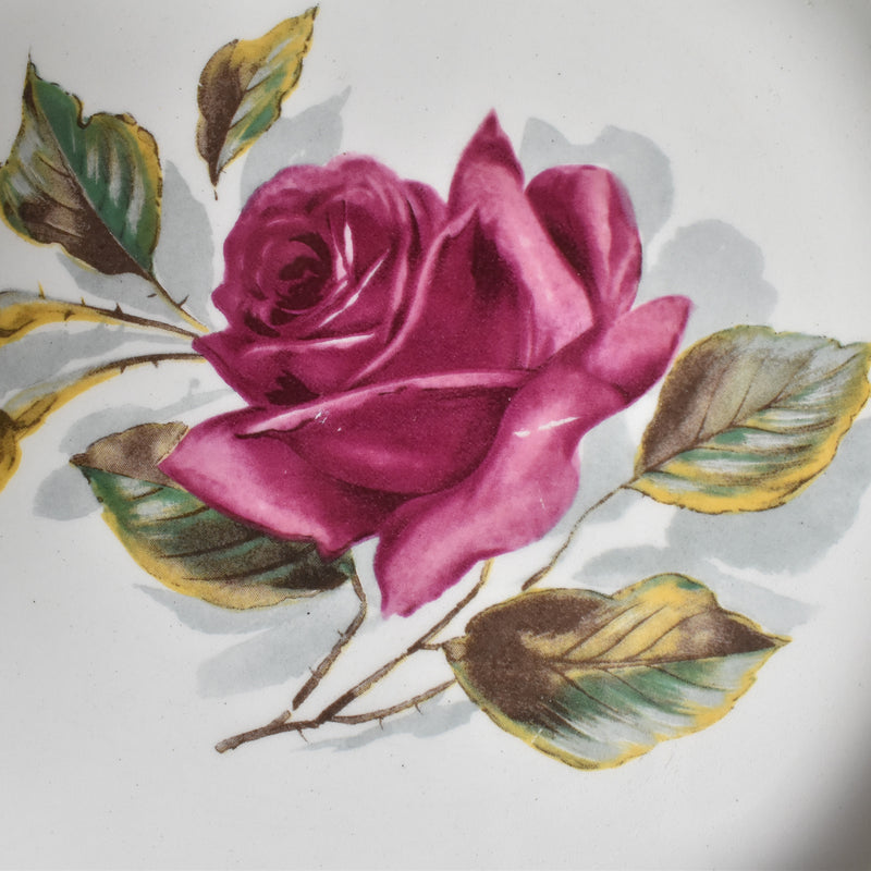 Vintage Plate Gien Chambord E
