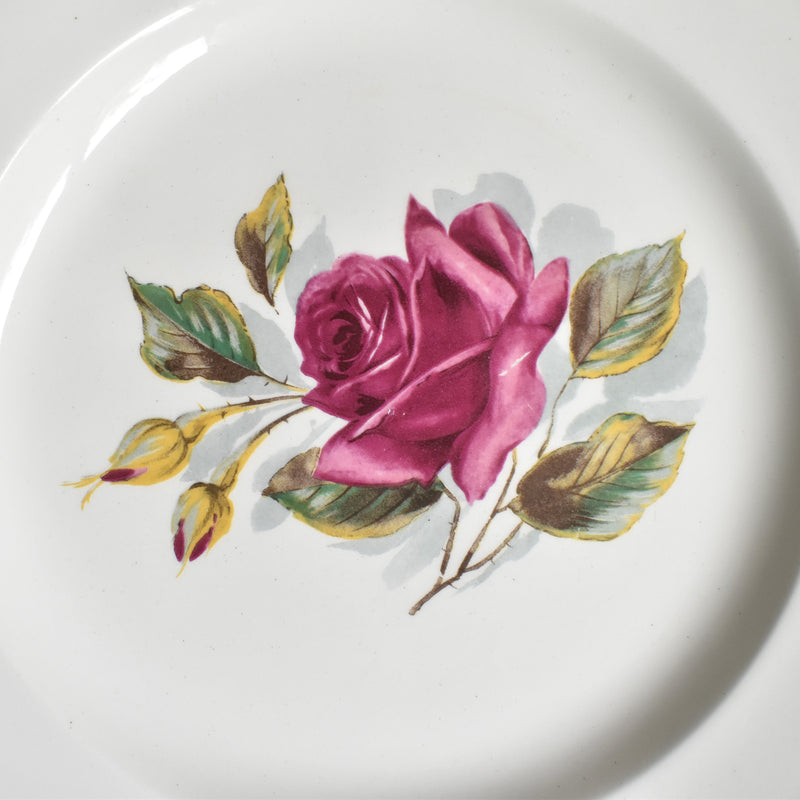 Vintage Plate Gien Chambord E