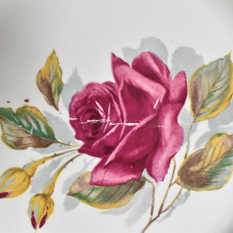 Vintage Plate Gien Chambord F