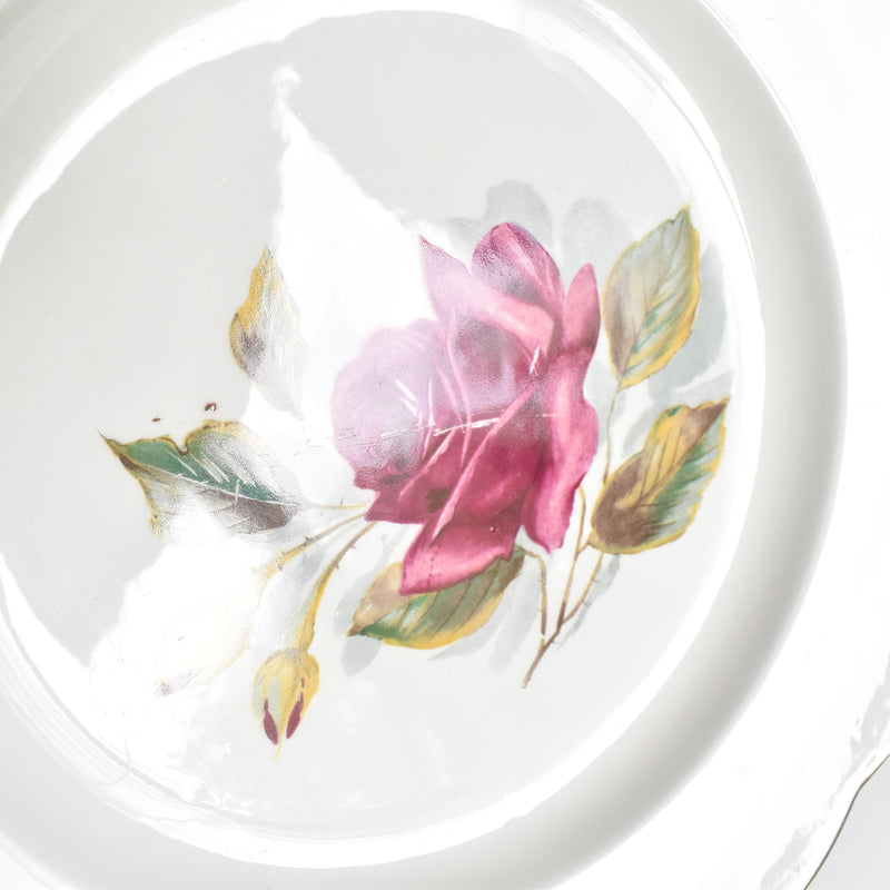 Vintage Plate Gien Chambord F