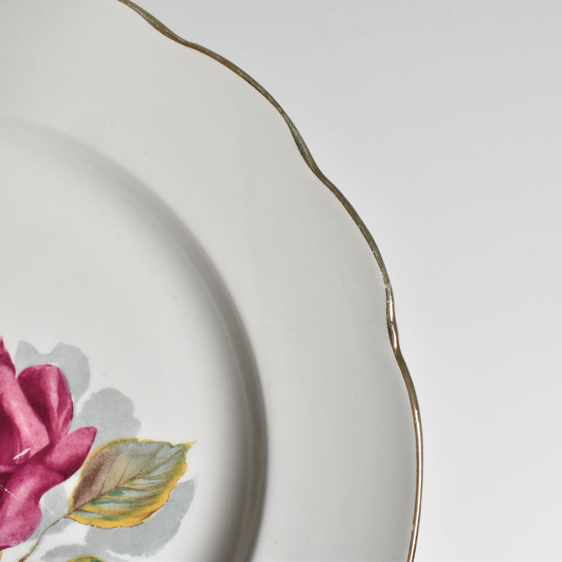 Vintage Plate Gien Chambord F