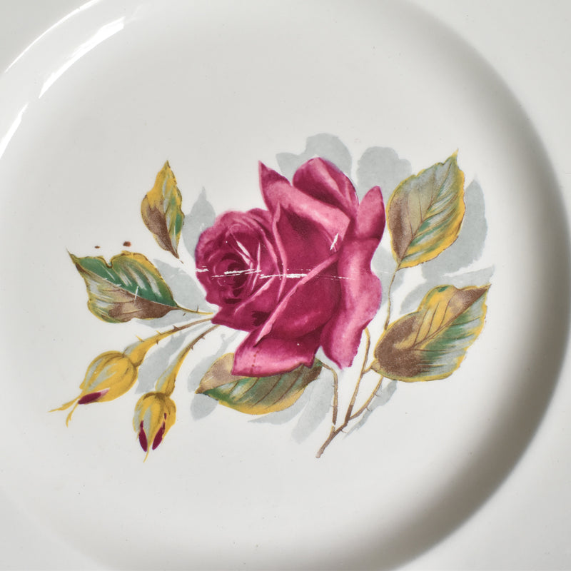 Vintage Plate Gien Chambord F
