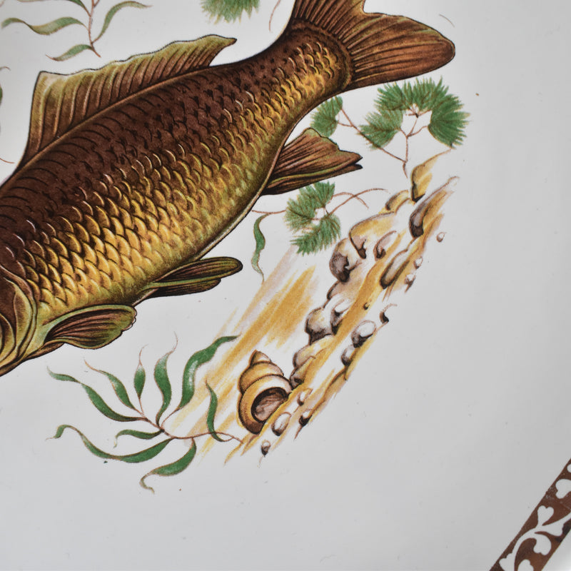 Vintage Plate: Longchamp Poisson Carpe (Carp)