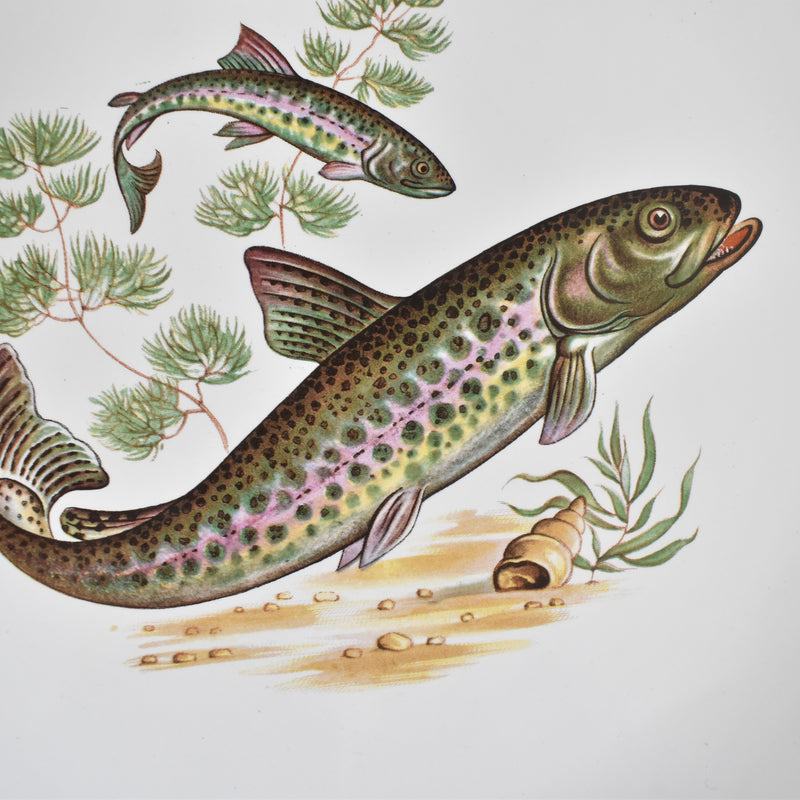 Vintage Plate Longchamp Poisson Truite Arc-en-ciel (Rainbow Trout)