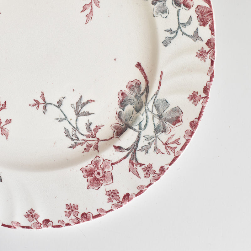 Antique Plate "Ron Weasley" "Été (Summer)" A
