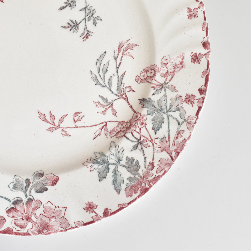 Antique Plate "Ron Weasley" "Été (Summer)" A
