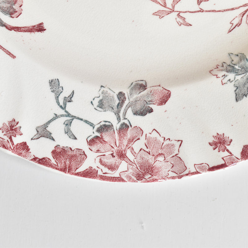 Antique Plate "Ron Weasley" "Été (Summer)" A