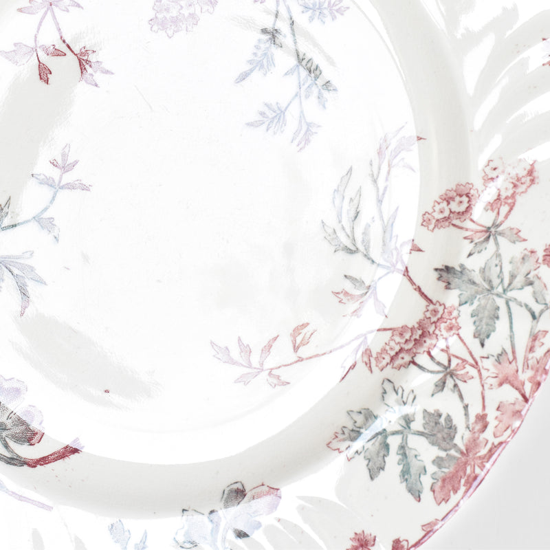 Antique Plate "Ron Weasley" "Été (Summer)" A