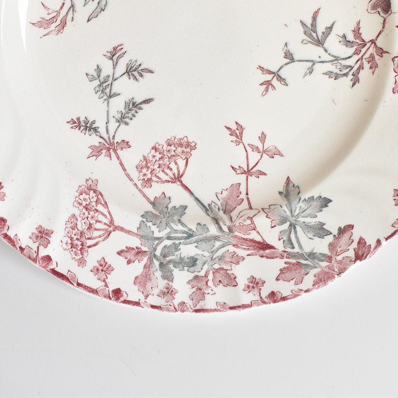 Antique Plate "Ron Weasley" "Été (Summer)" A