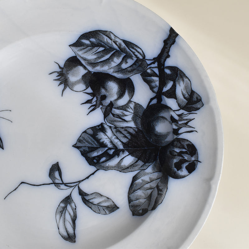Antique Plate Lonewy Fleurs