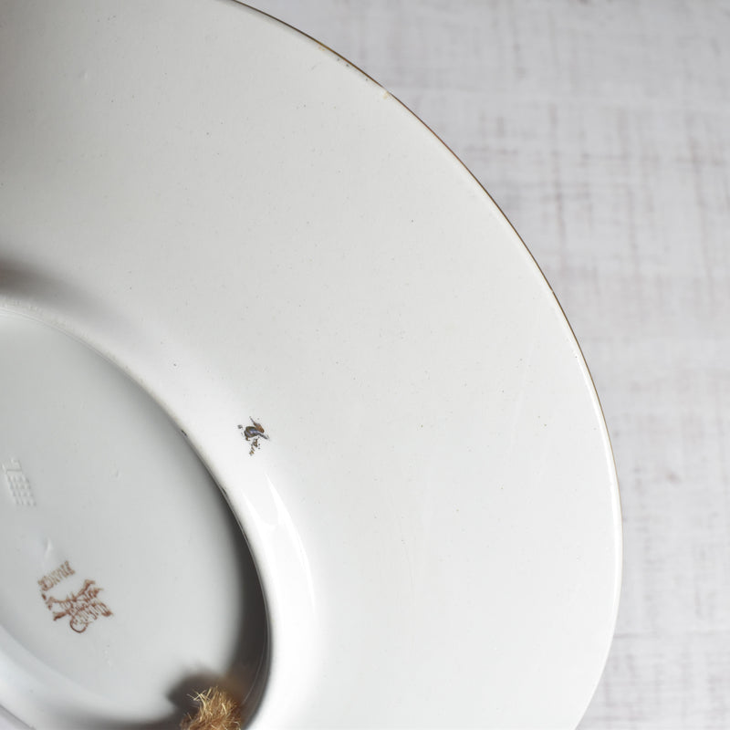 Antique plate Lunéville Effarement Maternel