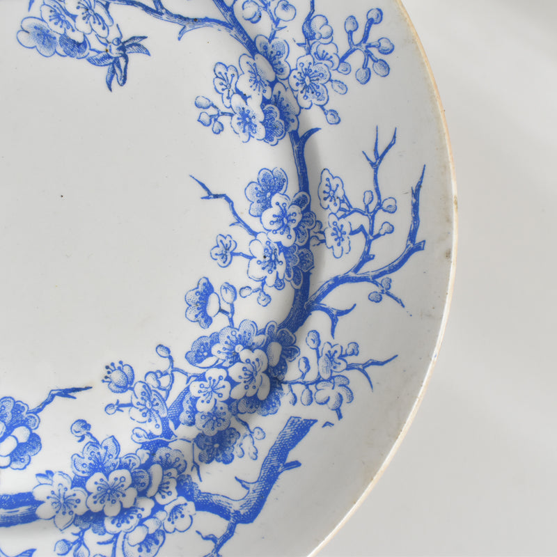 Antique dessert plate KG Lunéville Epine