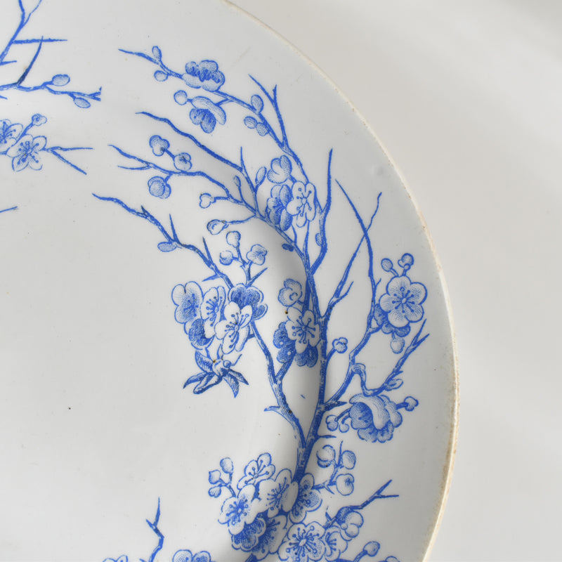 Antique dessert plate KG Lunéville Epine