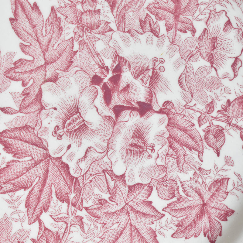 Antique plate, Onnaing, Eglantines A