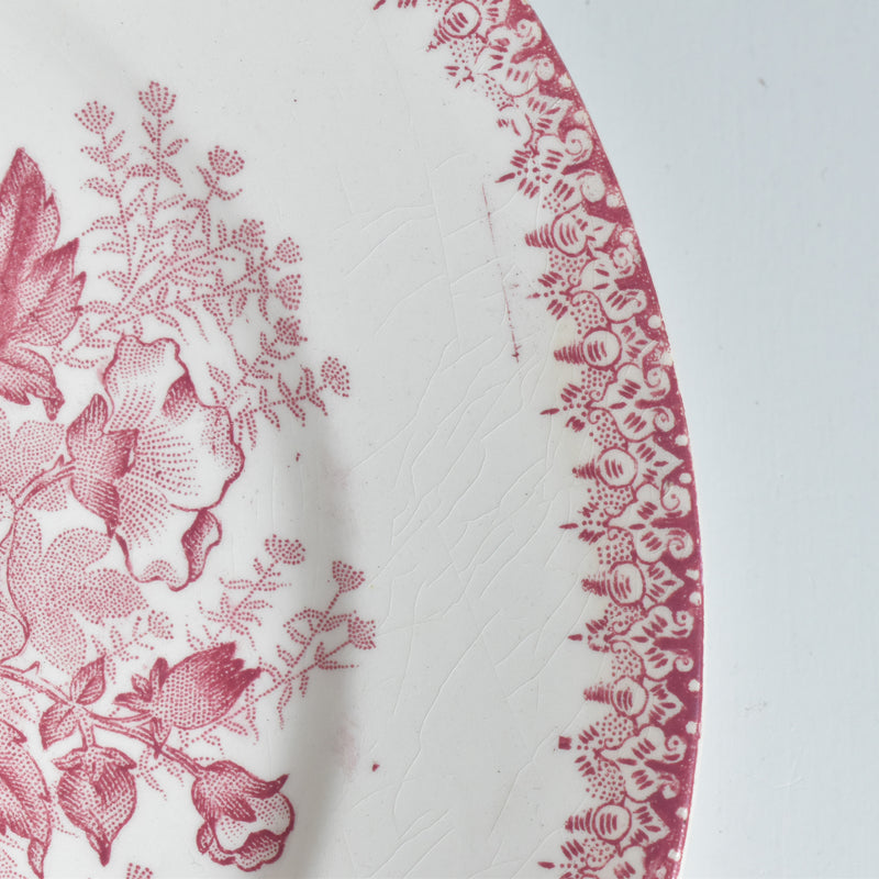 Antique plate, Onnaing, Eglantines A