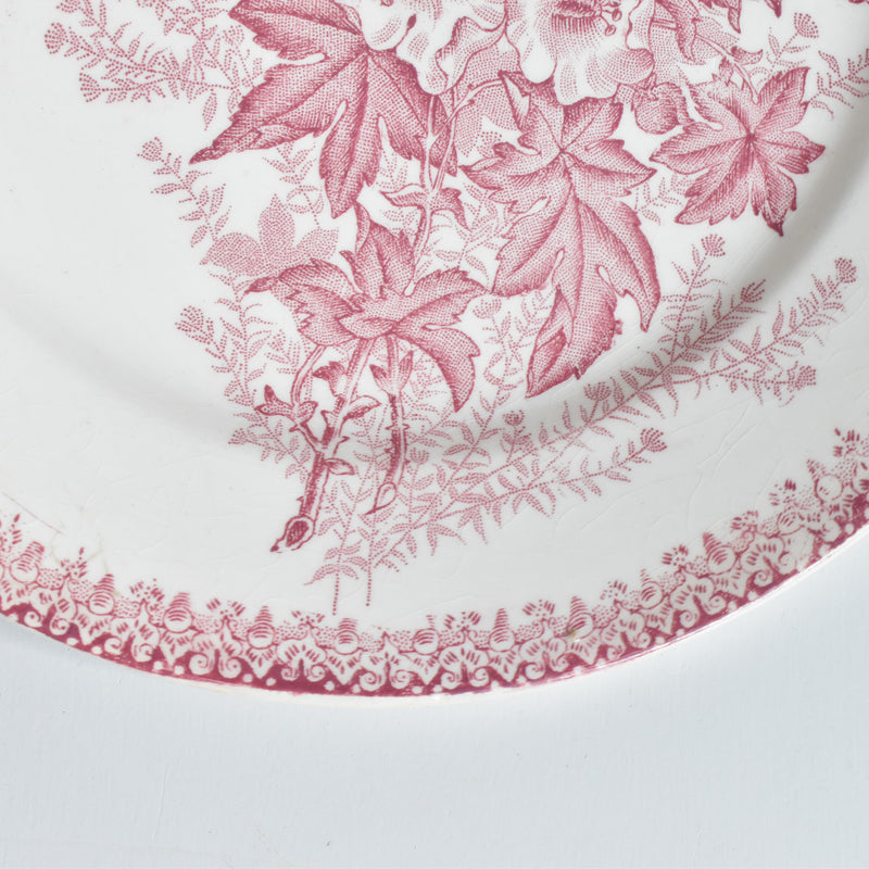 Antique plate, Onnaing, Eglantines A