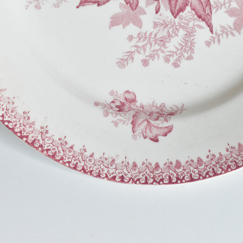 Antique plate, Onnaing, Eglantines A