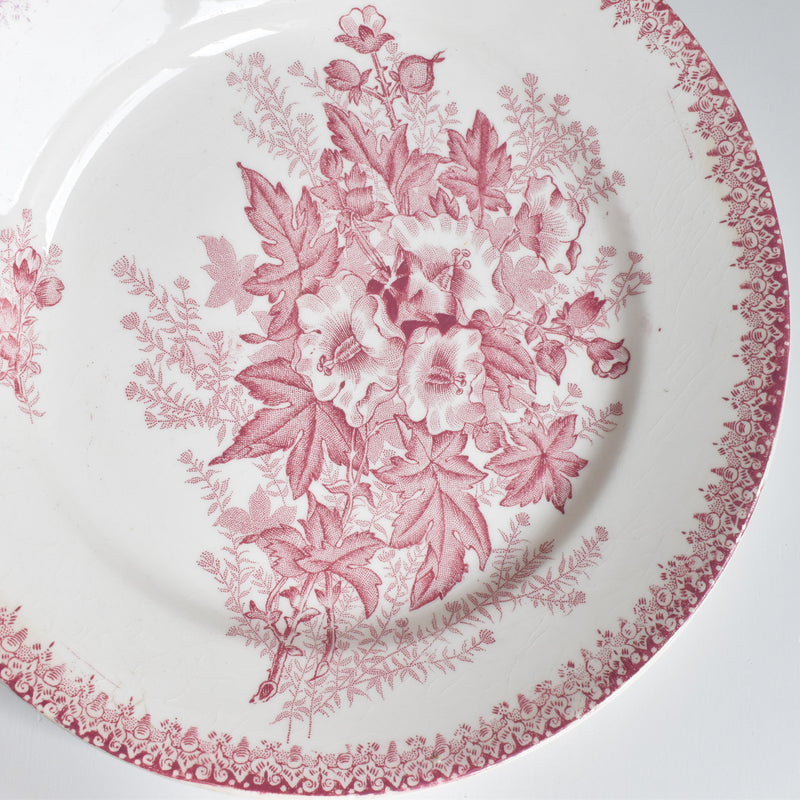 Antique plate, Onnaing, Eglantines A