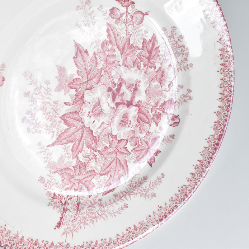 Antique plate, Onnaing, Eglantines A