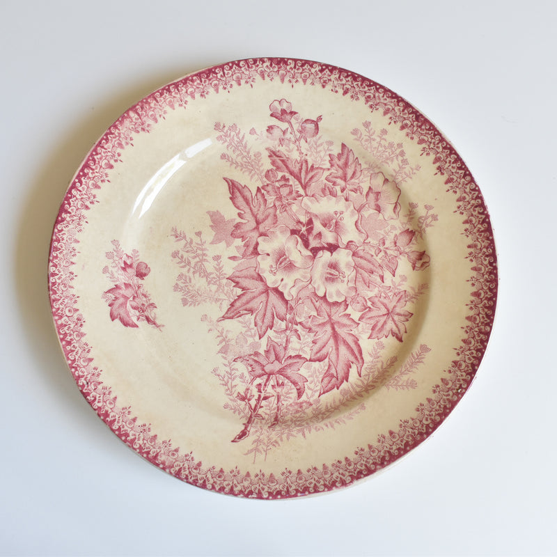 Antique Plate Onan Eglantines A