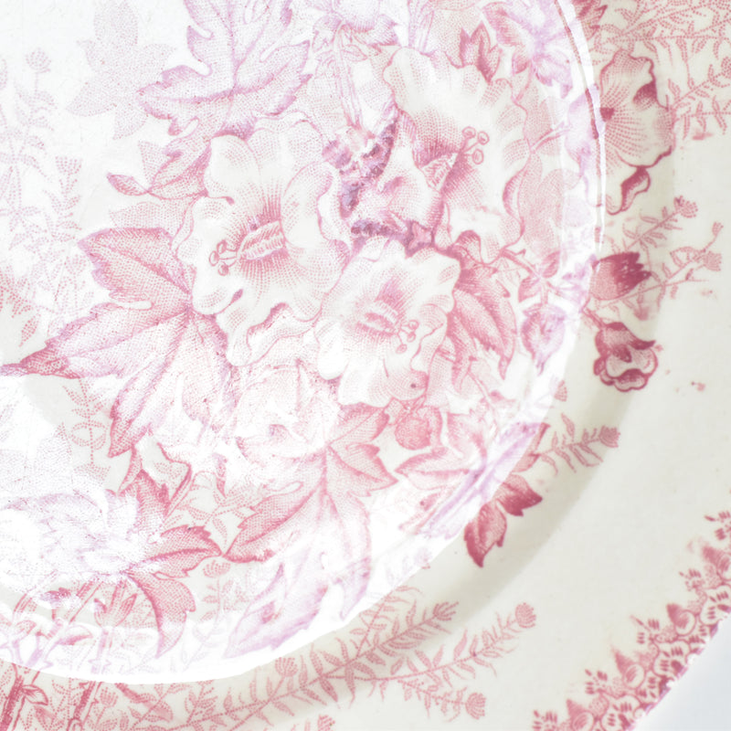 Antique Plate: Onnaing Eglantines B